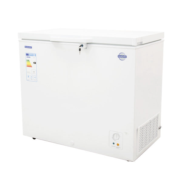CONGELADORA GOODWEATHER 200LTS